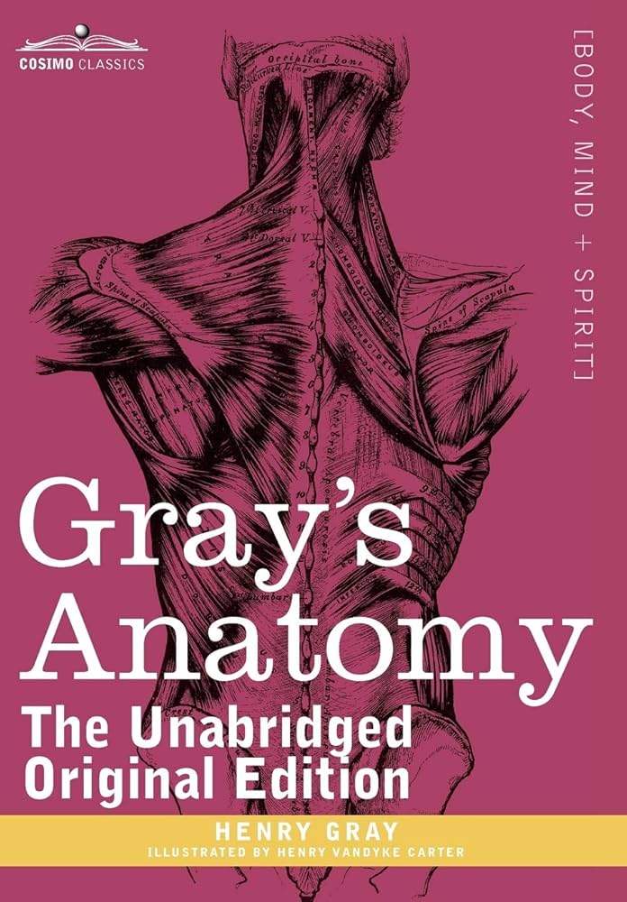 【新品未開封・コード未使用】Gray’s Anatomy42nd Edition Gray's Anatomy International 42nd Edition The Anatomical
